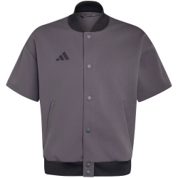 adidas DBB Deutschland Basketball Travel kurzarm Trainingsjacke 2026 Herren