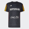 adidas DBB Deutschland Basketball Auswärts Aufwärmshirt 2026 Herren grey six S