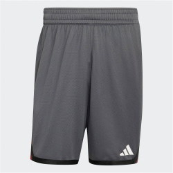 adidas DBB Deutschland Basketball Trainingsshorts 2026...