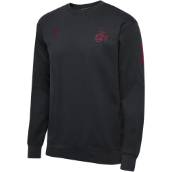 hummel 1. FC Köln Travel Sweatshirt 2025/26