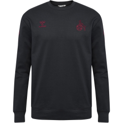 hummel 1. FC Köln Travel Sweatshirt 2025/26