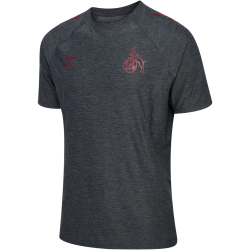 hummel 1. FC Köln Travel T-Shirt 2025/26