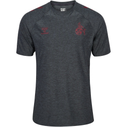 hummel 1. FC Köln Travel T-Shirt 2025/26