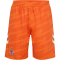 hummel 1. FC Köln Torwartshorts 2025/26