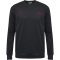 hummel 1. FC Köln Travel Sweatshirt 2025/26 1525 - asphalt S