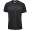 hummel 1. FC Köln Travel Poloshirt 2025/26 1525 - asphalt S