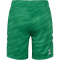 hummel 1. FC Köln Torwartshorts 2025/26 Kinder 6235 - jelly bean 140