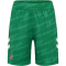 hummel 1. FC Köln Torwartshorts 2025/26 Kinder 6235 - jelly bean 140