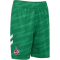 hummel 1. FC Köln Torwartshorts 2025/26 Kinder 6235 - jelly bean 140