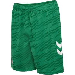 hummel 1. FC Köln Torwartshorts 2025/26 6235 - jelly...