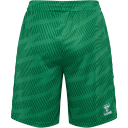 hummel 1. FC Köln Torwartshorts 2025/26 6235 - jelly...