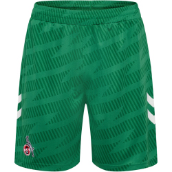 hummel 1. FC Köln Torwartshorts 2025/26 6235 - jelly...