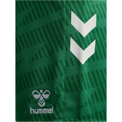 hummel 1. FC Köln Torwartshorts 2025/26 6235 - jelly...