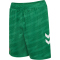 hummel 1. FC Köln Torwartshorts 2025/26 6235 - jelly bean L