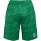 hummel 1. FC Köln Torwartshorts 2025/26 6235 - jelly bean L
