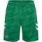 hummel 1. FC Köln Torwartshorts 2025/26 6235 - jelly bean L