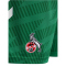 hummel 1. FC Köln Torwartshorts 2025/26 6235 - jelly bean L