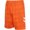 hummel 1. FC Köln Torwartshorts 2025/26 5190 - orange tiger S