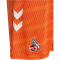hummel 1. FC Köln Torwartshorts 2025/26 5190 - orange tiger S