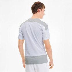 PUMA teamGOAL 23 Trainingsshirt