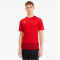 PUMA teamGOAL 23 Trainingsshirt
