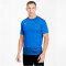 PUMA teamGOAL 23 Trainingsshirt