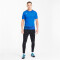 PUMA teamGOAL 23 Trainingsshirt