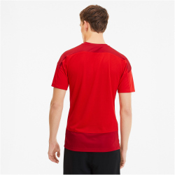 PUMA teamGOAL 23 Trainingsshirt puma red/chili pepper XXL
