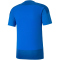 PUMA teamGOAL 23 Trainingsshirt electric blue lemonade/team power blue S