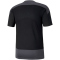 PUMA teamGOAL 23 Trainingsshirt PUMA black/asphalt XS