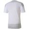 PUMA teamGOAL 23 Trainingsshirt PUMA white/gray violet S