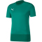 PUMA teamGOAL 23 Trainingsshirt pepper green/power green S