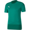 PUMA teamGOAL 23 Trainingsshirt pepper green/power green 3XL