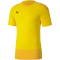 PUMA teamGOAL 23 Trainingsshirt cyber yellow/spectra yellow M