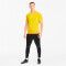 PUMA teamGOAL 23 Trainingsshirt cyber yellow/spectra yellow M