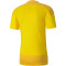 PUMA teamGOAL 23 Trainingsshirt cyber yellow/spectra yellow M