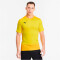 PUMA teamGOAL 23 Trainingsshirt cyber yellow/spectra yellow XXL