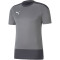 PUMA teamGOAL 23 Trainingsshirt steel gray/asphalt S