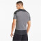 PUMA teamGOAL 23 Trainingsshirt steel gray/asphalt S