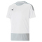 PUMA teamGOAL 23 Trikot Kinder PUMA white/gray violet 116