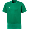 PUMA teamGOAL 23 Trikot Kinder pepper green/power green 116