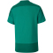PUMA teamGOAL 23 Trikot Kinder pepper green/power green 116