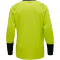 hummel Essential Torwart Trikot evening primrose S