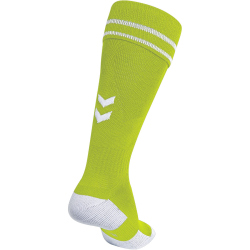 hummel Element Stutzenstrümpfe green gecko 43-45