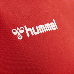 hummel Authentic Polyester kurzarm Trikot Kinder true red 140