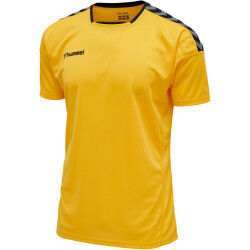 hummel Authentic Polyester kurzarm Trikot Kinder sports...