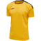 hummel Authentic Polyester kurzarm Trikot Kinder sports yellow/black 116