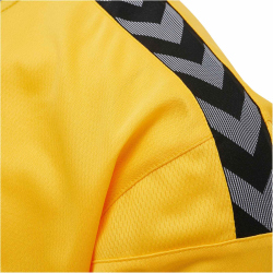 hummel Authentic Polyester kurzarm Trikot Kinder sports yellow/black 128