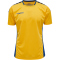 hummel Authentic Polyester kurzarm Trikot Kinder sports yellow/true blue 116