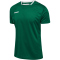 hummel Authentic Polyester kurzarm Trikot Kinder evergreen 128